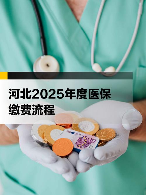 河北税务医疗保险缴费