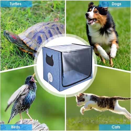 PetpetGenerator