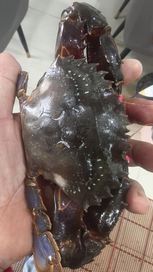 赤红甲