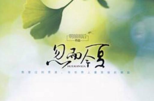 忽而今夏小说