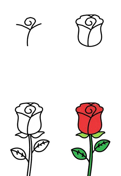 玫瑰花简笔画