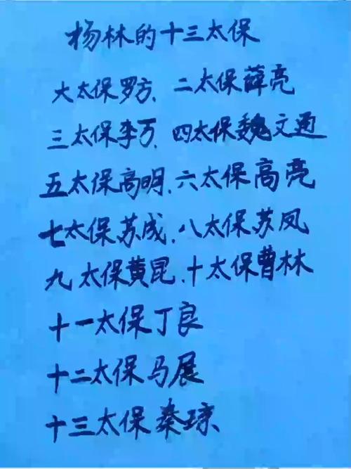 杨林十三太保截图