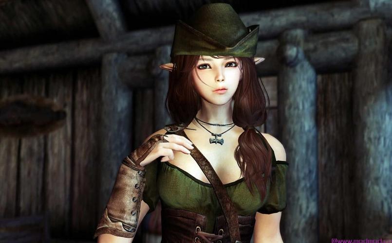 《上古卷轴5》美女随从Mod合集第3弹
