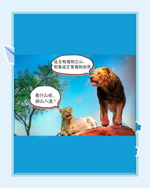 动物王者初入动物世界,你该如何步步为营,变为真正的