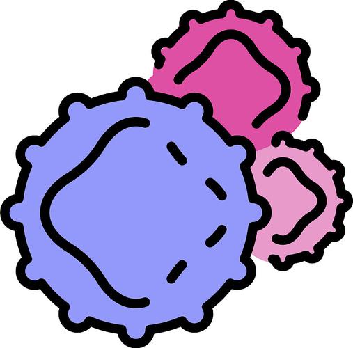 孢子