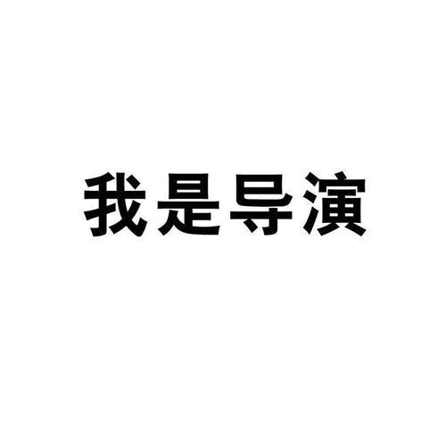 我是大导演