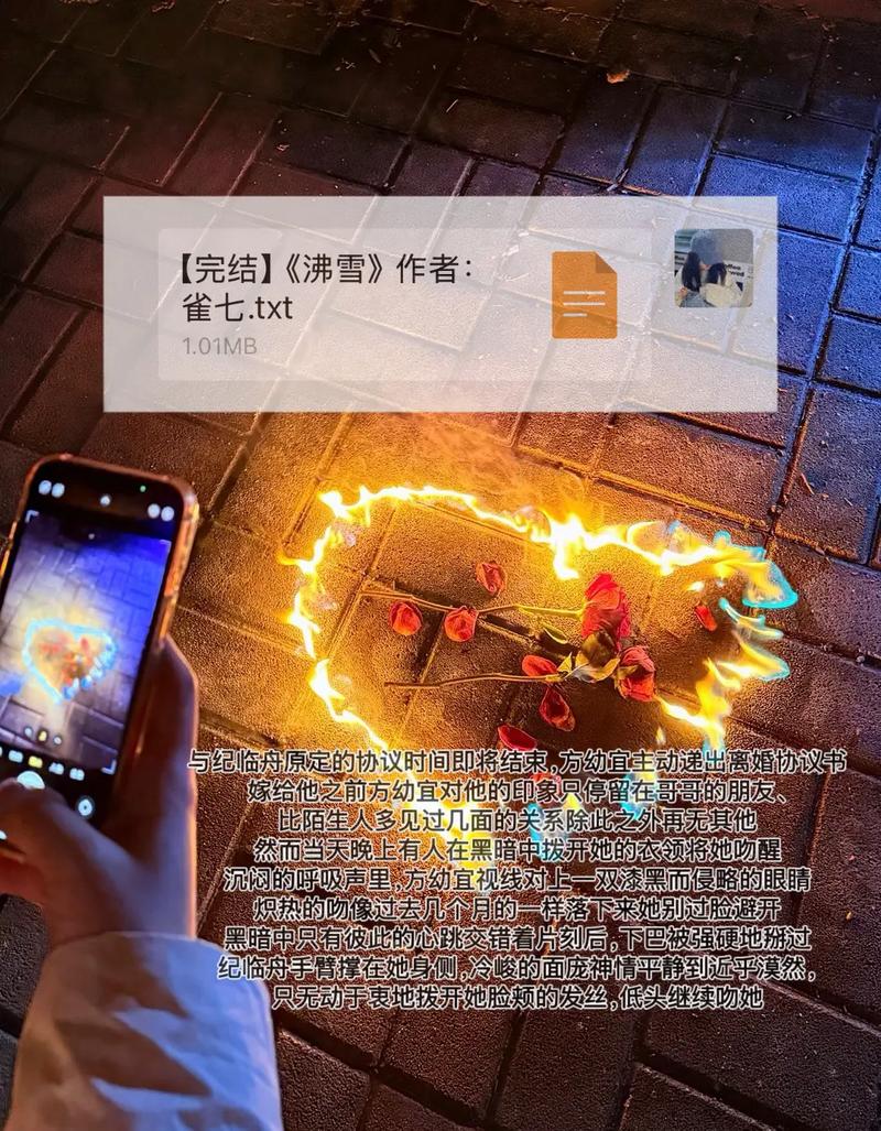 《沸雪》小说在线阅读