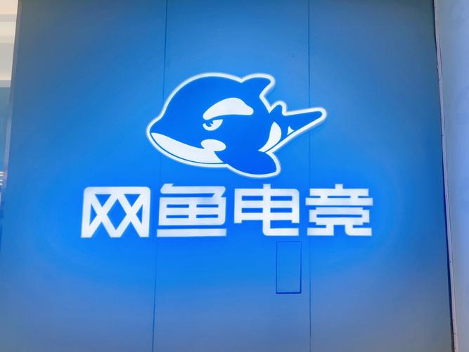 网鱼网咖