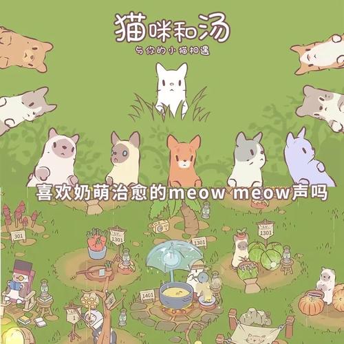 猫和汤