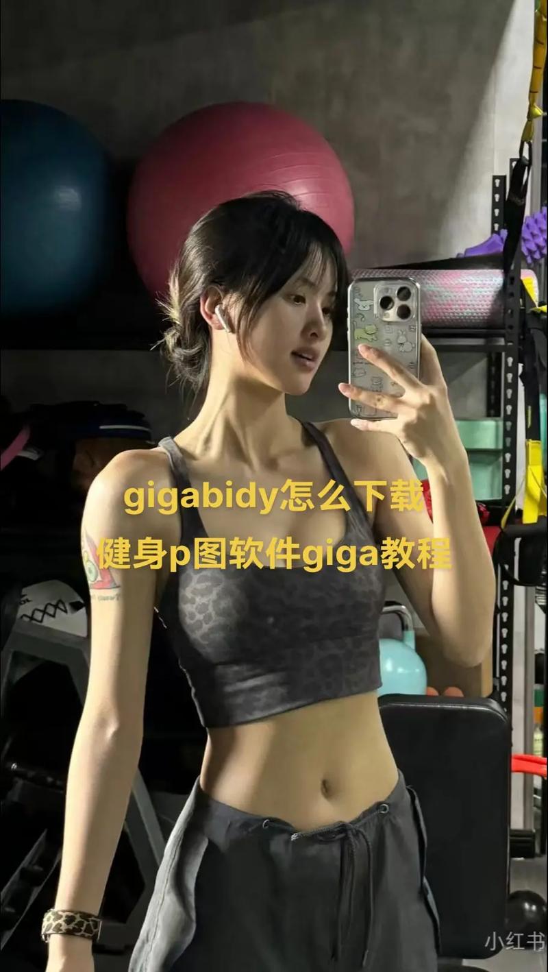 gigabody安卓版apk安装截图