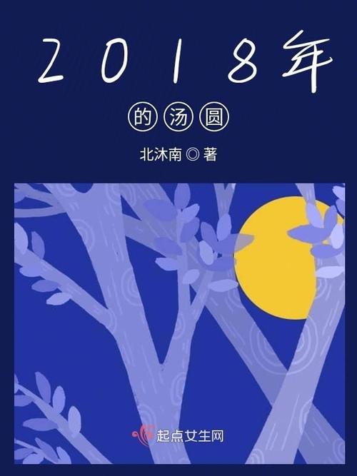 《2018年的汤圆》小说在线阅读