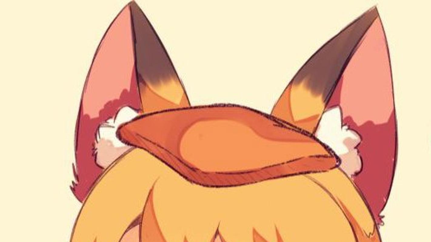 茶杯狐cupfox