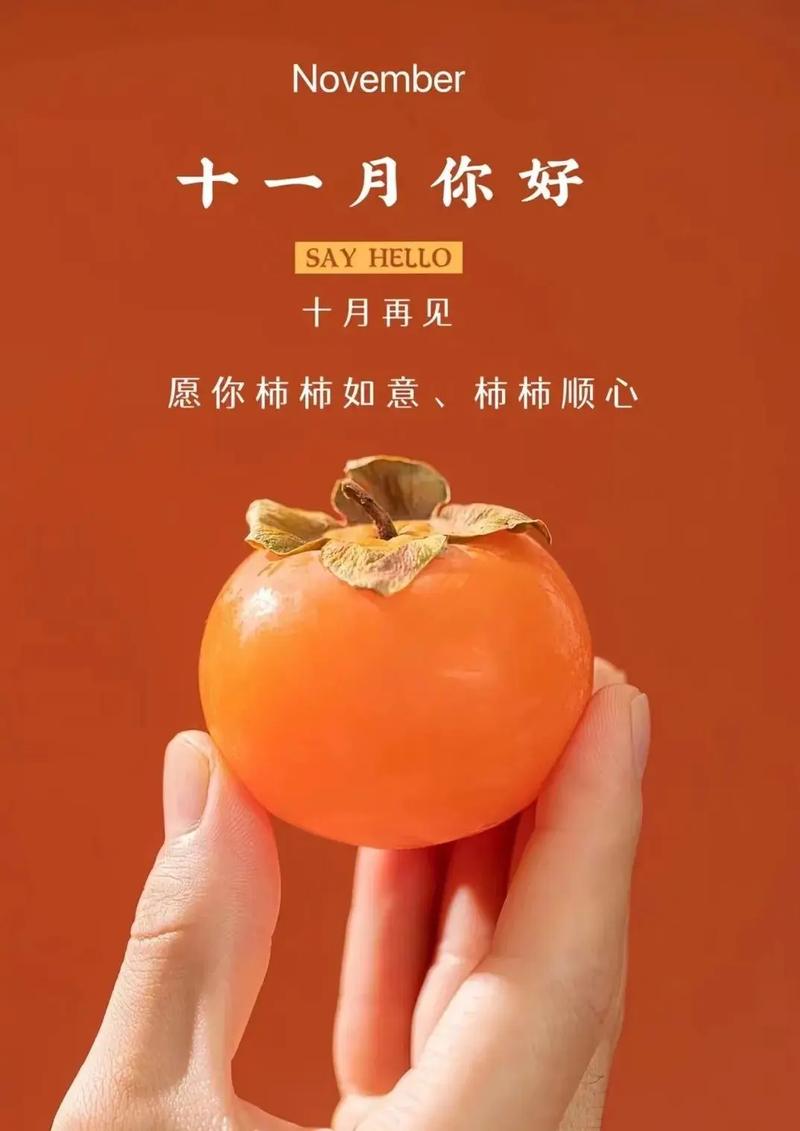十一月怎么发朋友圈