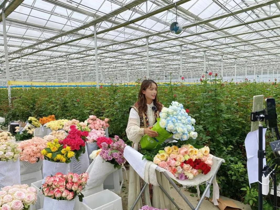 花儿直播