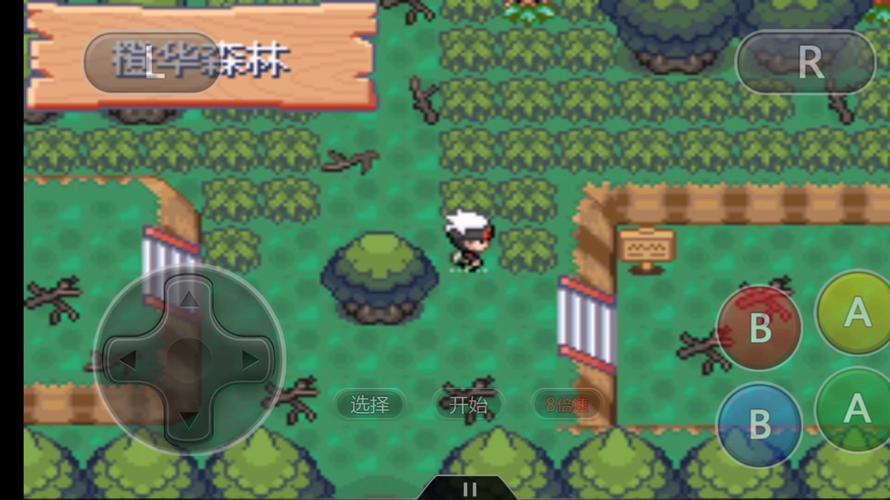 究极绿宝石5