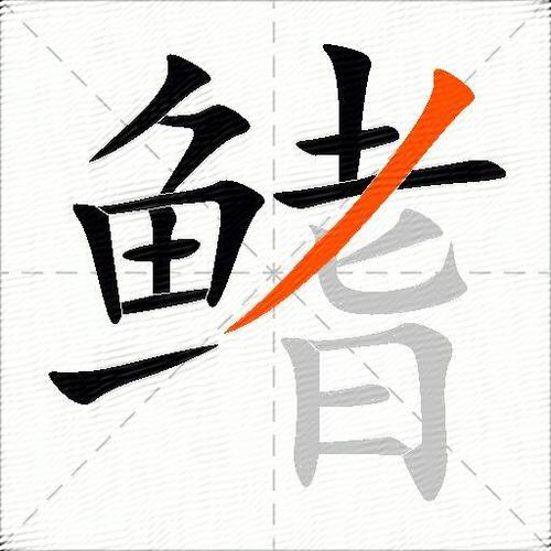 鳍怎么读截图