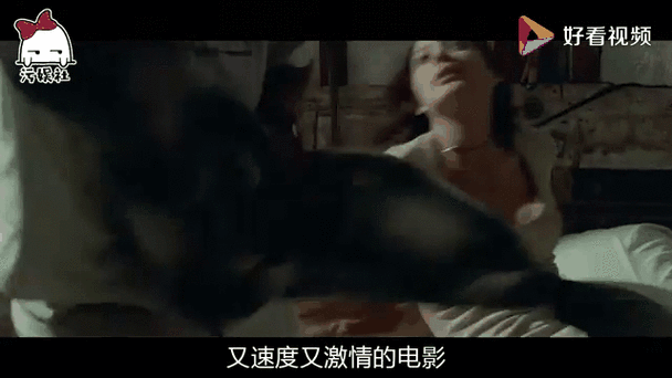 两位女老司机的交流激情四溢的动态图