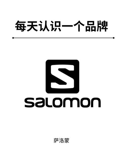 洛萨