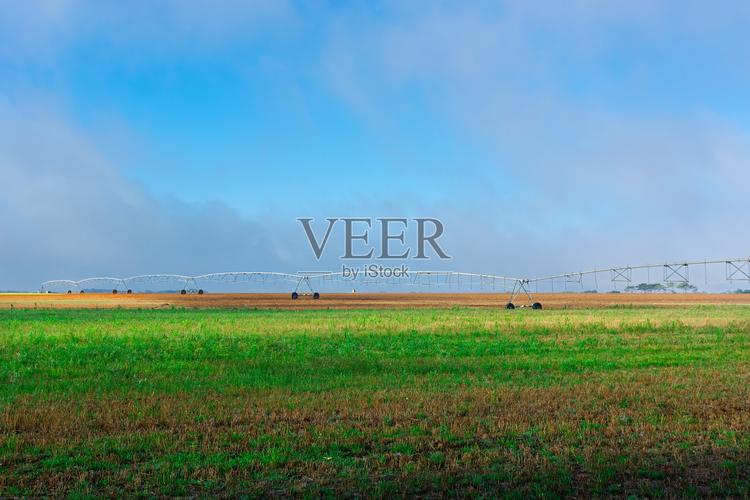 veer