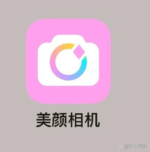 美颜相机老版本安装