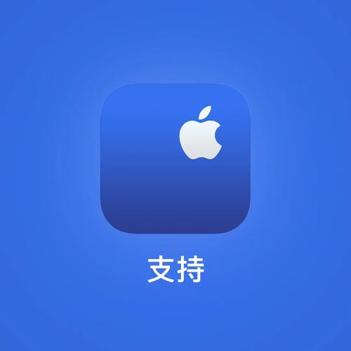 支持英语
