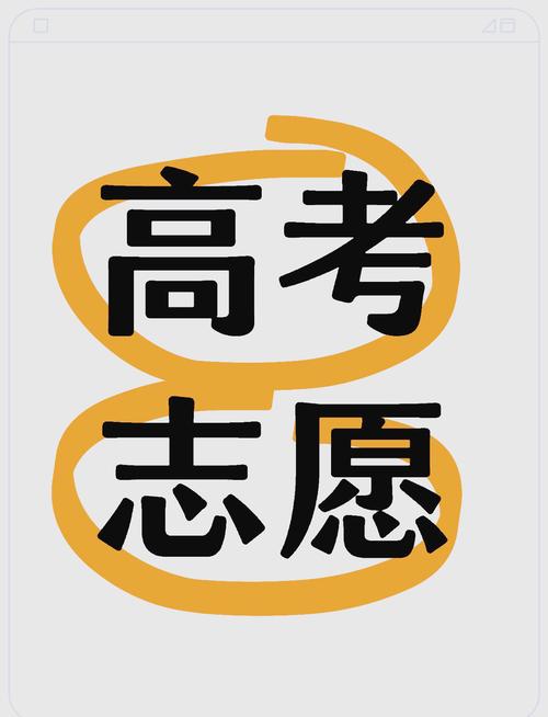 高考志愿在线填报