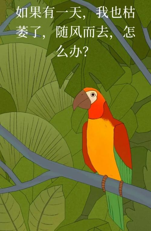 孤独的鸟儿中文版免费(已停运)