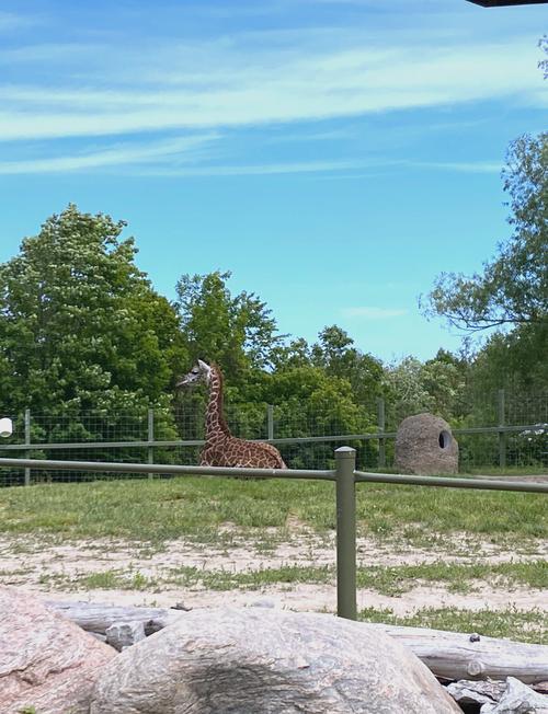 ZOOFORZOTERO