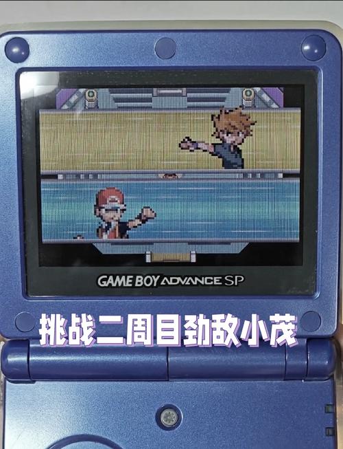 口袋妖怪叶绿GBA版