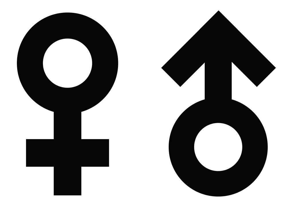 男女的区别
