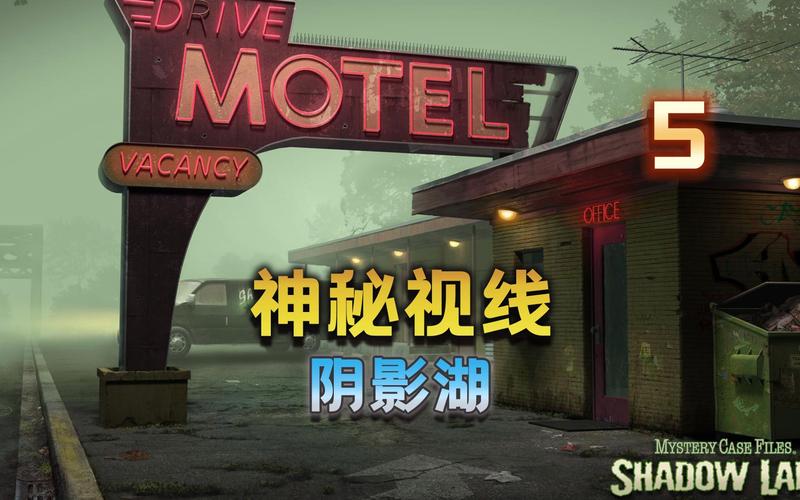 神秘视线9中文版