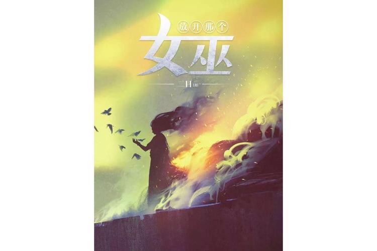 《放开那个女巫》小说在线阅读