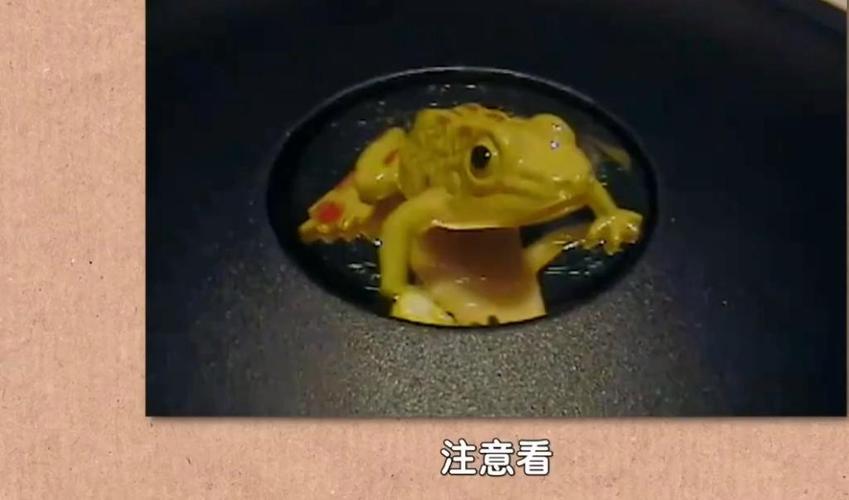 戳青蛙