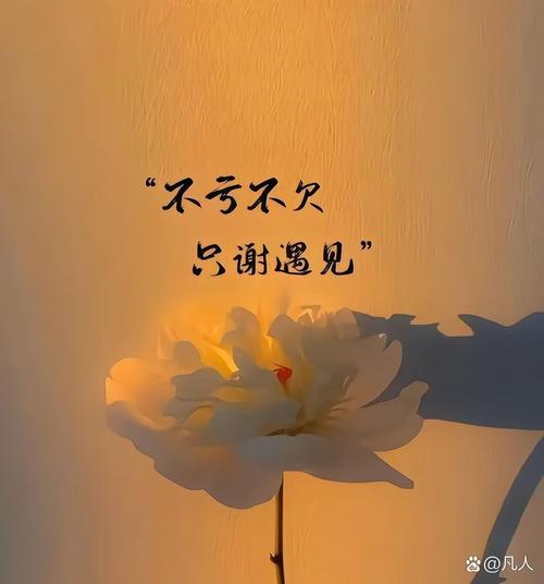 心情不好的句子发朋友圈