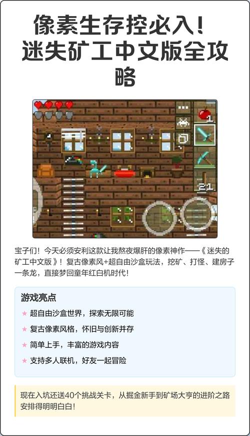 迷失的矿工中文版