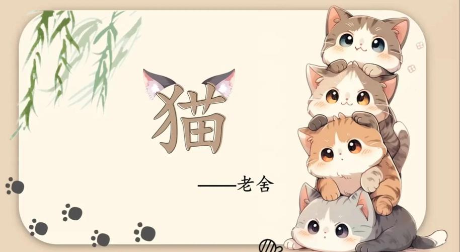 猫老舍