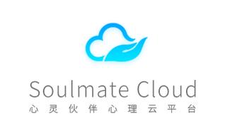 心灵伙伴心理云平台