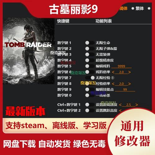 古墓丽影9通用修改器古墓丽影9九项修改