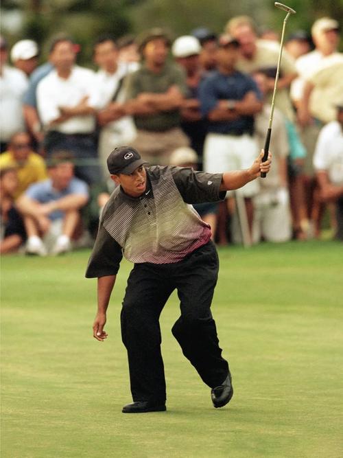 tigerwoods