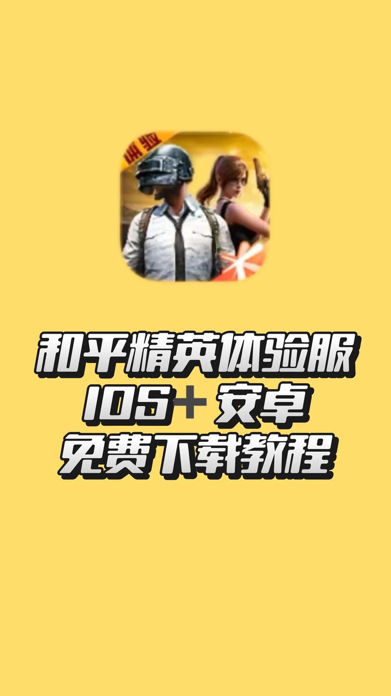 和平精英体验服安装免费