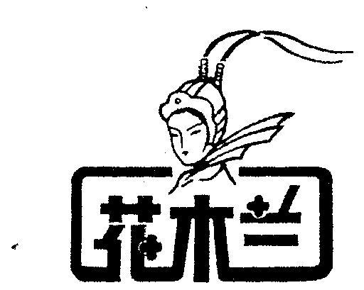 花木兰小说