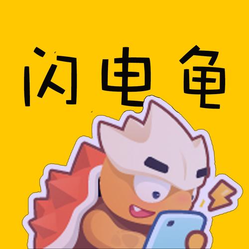闪电龟安装免费最新版