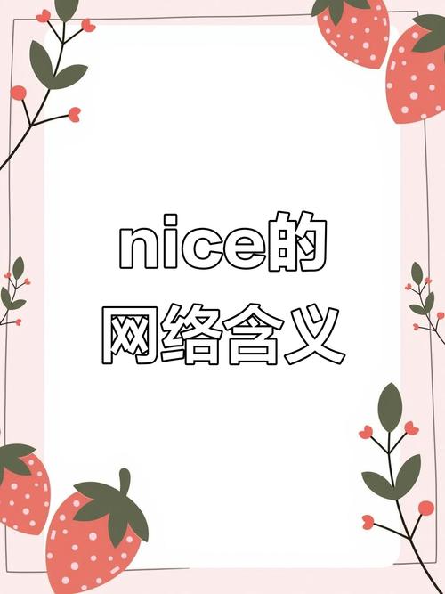 nice的中文意思