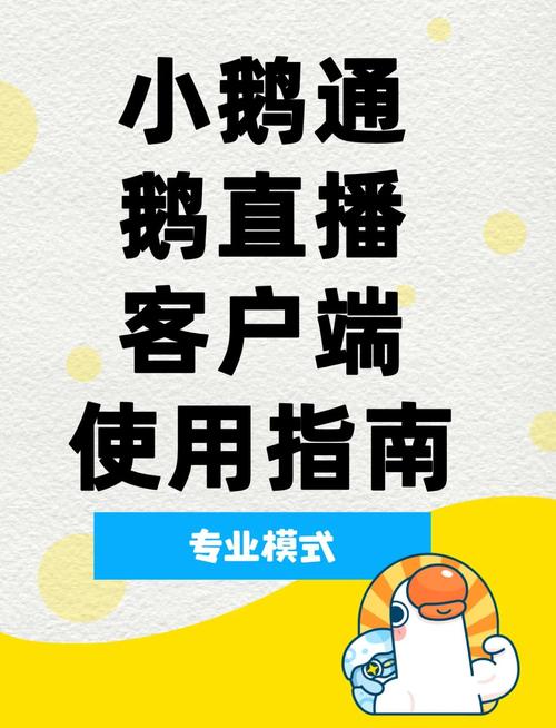 企鹅电竞直播助手app截图