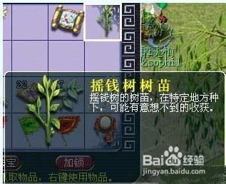 梦幻西游摇钱树苗