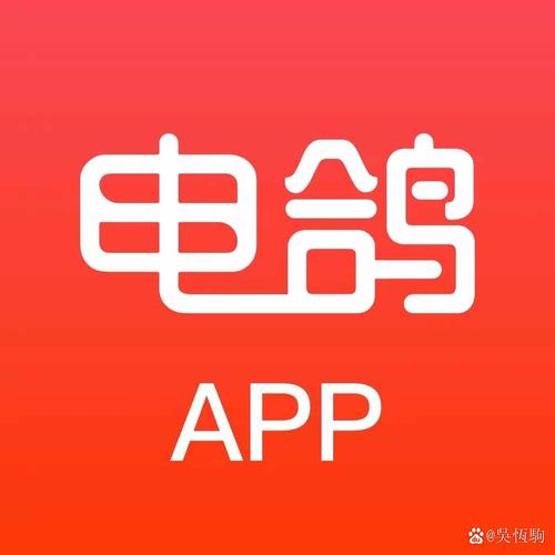 电鸽软件最新版