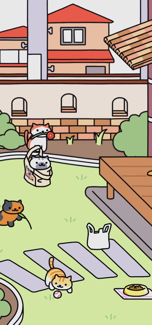 猫咪后院