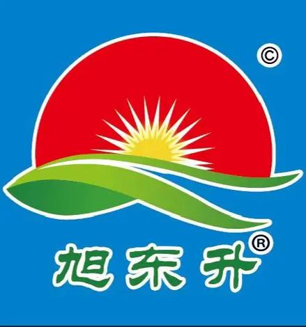 冉东升