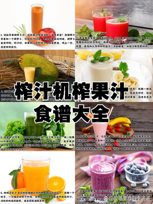 榨汁机食谱