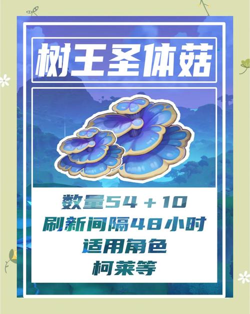 树王圣体菇采集路线